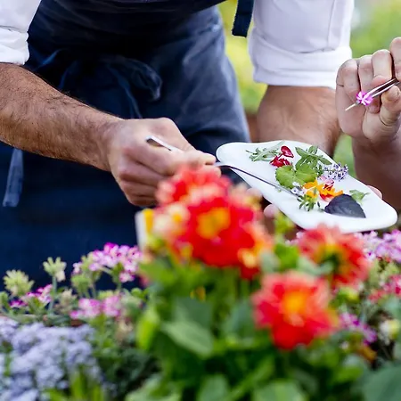 Hotel The Cookbook Gastro Boutique &