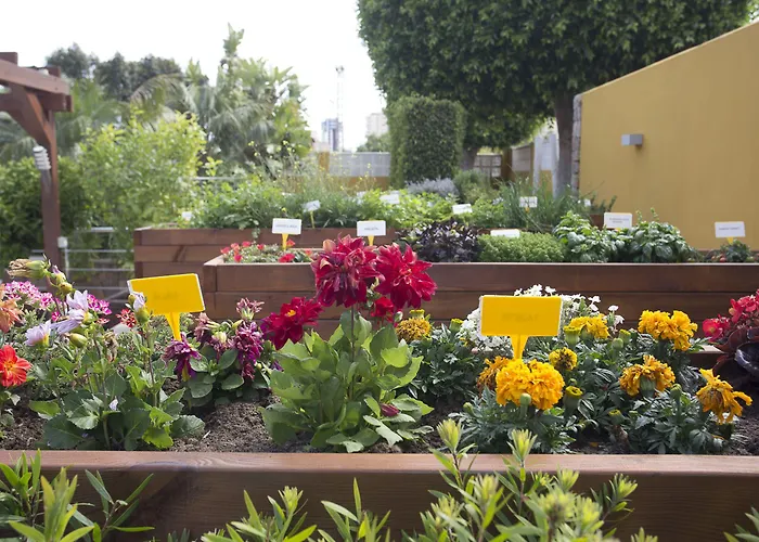 The Cookbook Gastro Boutique & Calpe