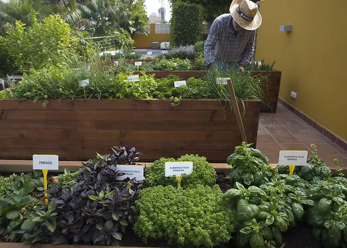 The Cookbook Gastro Boutique & Szálloda