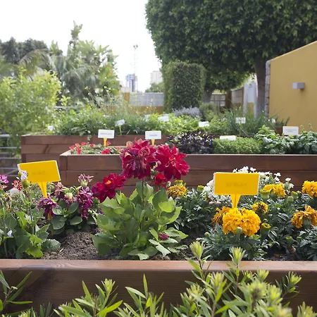 The Cookbook Gastro Boutique & 칼페