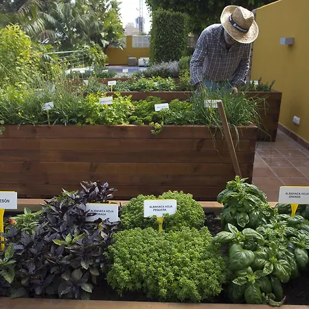 The Cookbook Gastro Boutique & 호텔