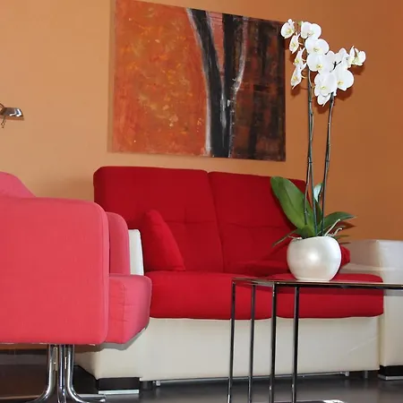 The Cookbook Gastro Boutique & 칼페